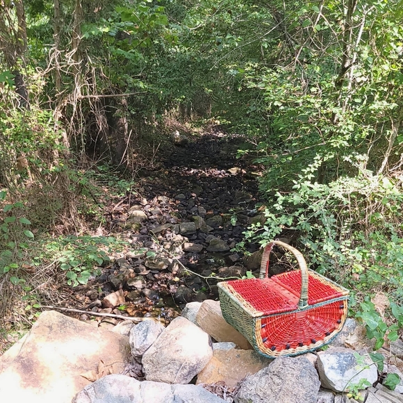 Ethereal Whimsical Vintage Pastel Cottagecore - Picture 10 of 16